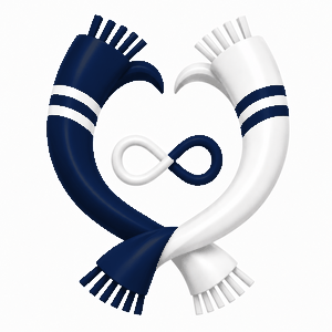 Avispa Fukuoka